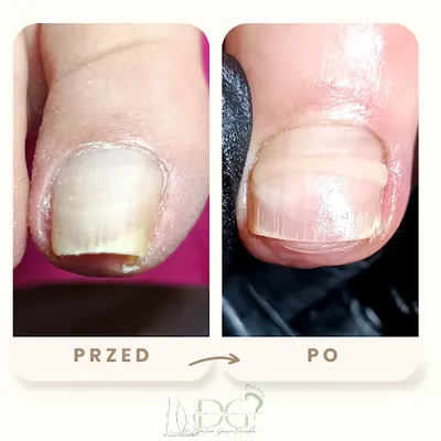 Podolog Daria Gąsiorowska